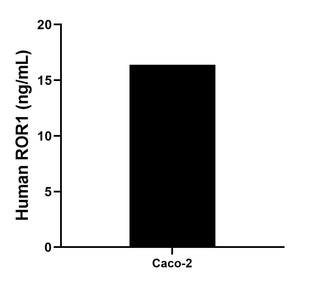 Sample test of MP00987-2